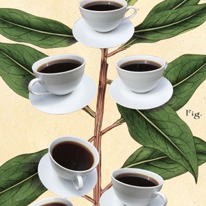 Botanical Coffee Poster, Coffee Art Print, Kitchen wall art, coffee bar, UNFRAMED image 10