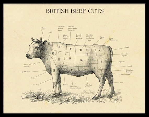 Beef Cuts Chart Printable