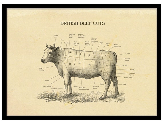 Beef Cut Cow Print Butcher Chart Vintage Etching Print Etsy