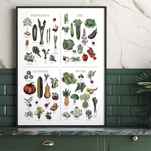 French seasonal fruit and vegetable chart. print separated into 4. Spring, summer, autumn winter titles, etchings in each of fruit and veg, set on an aged antique style background. Vintage but modern style. Each image has what it is in French under.
