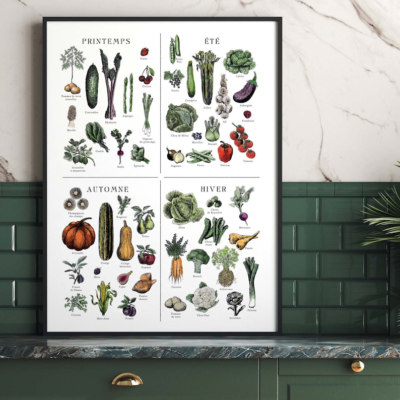 French seasonal fruit and vegetable chart. print separated into 4. Spring, summer, autumn winter titles, etchings in each of fruit and veg, set on an aged antique style background. Vintage but modern style. Each image has what it is in French under.