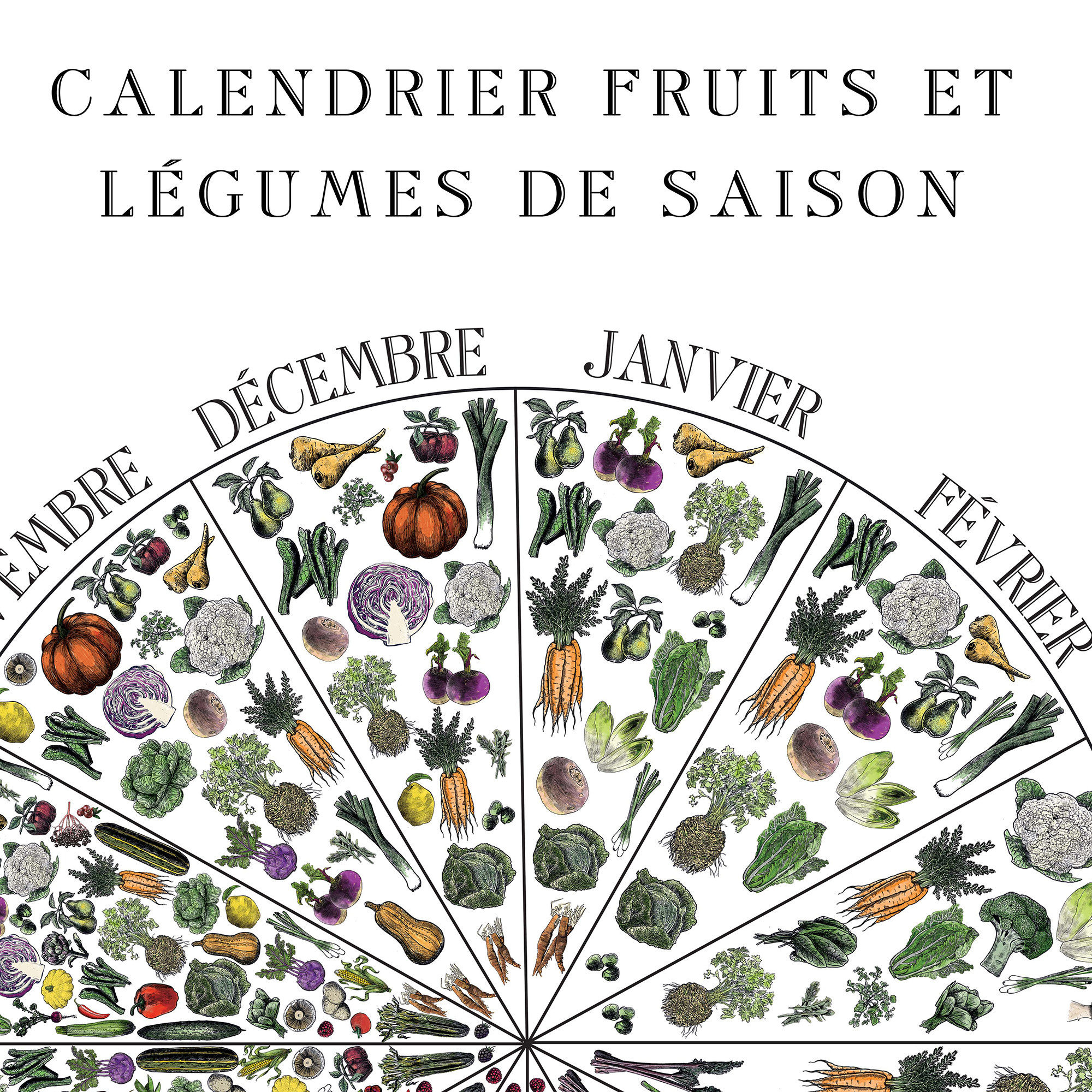 Sedomax Affiche Toile Cuisine Légumes Fruits De Saison – Calendrier Végétal Imprimé 40x50 Cm Sans Cadre – Déco Salle à Manger