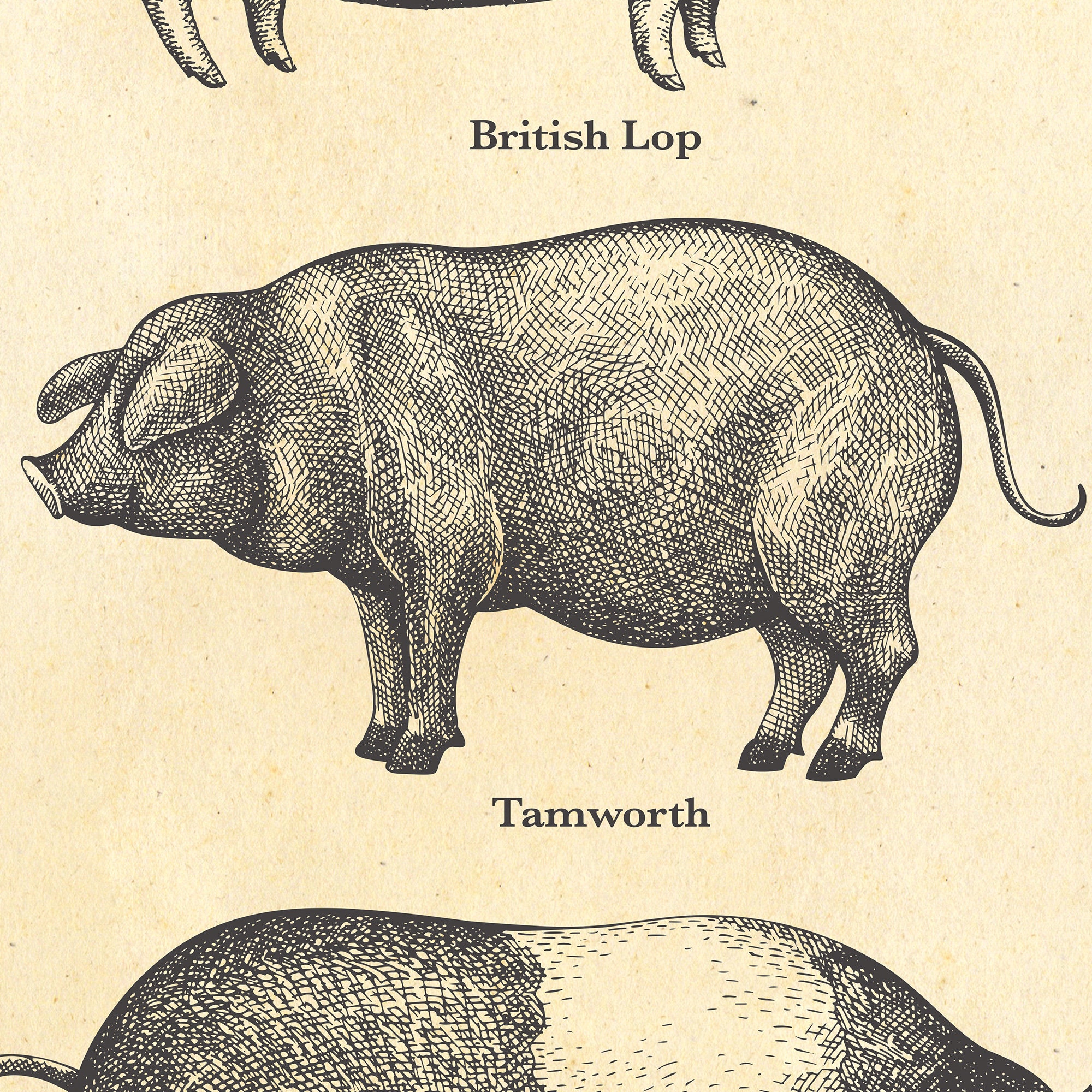 イギリス購入★木製額入り絵 PIG & SHEEP イギリス購入☆木製額入り絵 PIG & SHEEP