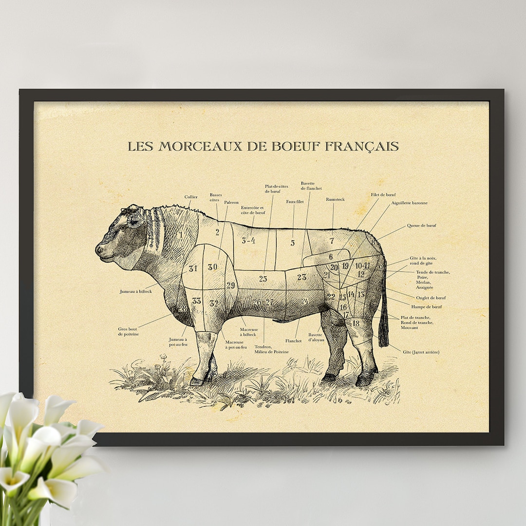 FRENCH Beef Cuts Print Vintage Butcher Cuts Poster, All Sizes. Kitchen Decor, Meat Cut Chart