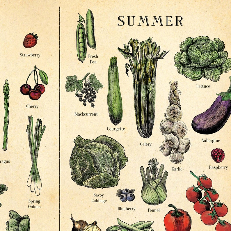 Seasonal Fruit and Veg Poster UK Version Vegetable Chart Etsy