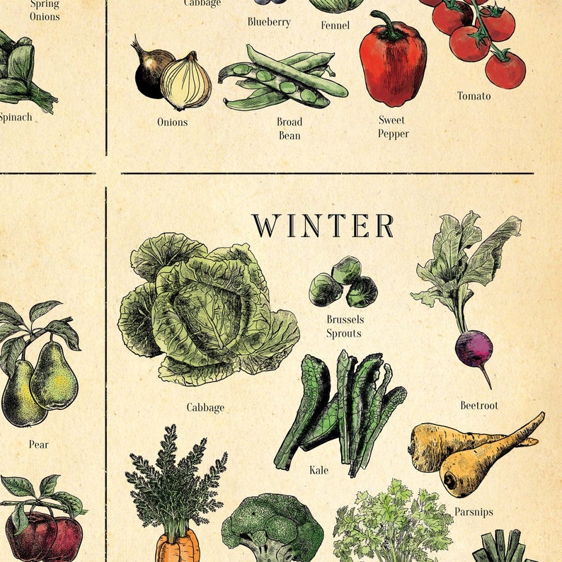 Seasonal Fruit and Veg Poster UK Version Vegetable Chart Etsy