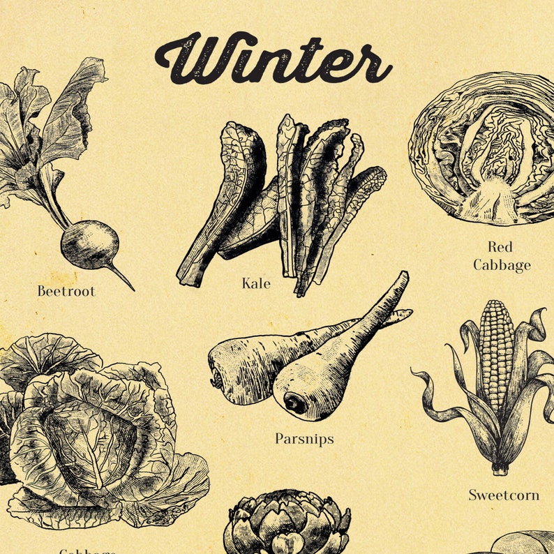 Seasonal Vegetable poster Vegetable Art Print A4 up to A2 Etsy