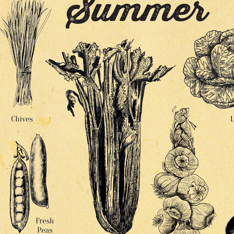 Seasonal Vegetable poster Vegetable Art Print A4 up to A2 Etsy