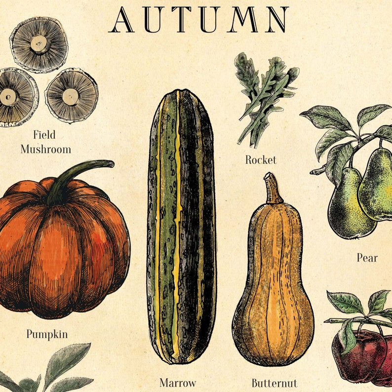 Seasonal Fruit and Veg Poster UK Version Vegetable Chart Etsy