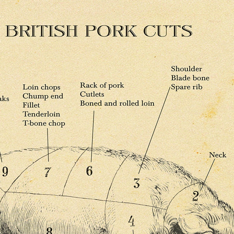 BRITISH Pork Cuts Pig Diagram Home Decor Kitchen Print - Etsy