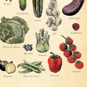 French seasonal fruit and vegetable chart. print separated into 4. Spring, summer, autumn winter titles, etchings in each of fruit and veg, set on an aged antique style background. Vintage but modern style. Each image has what it is in French under.