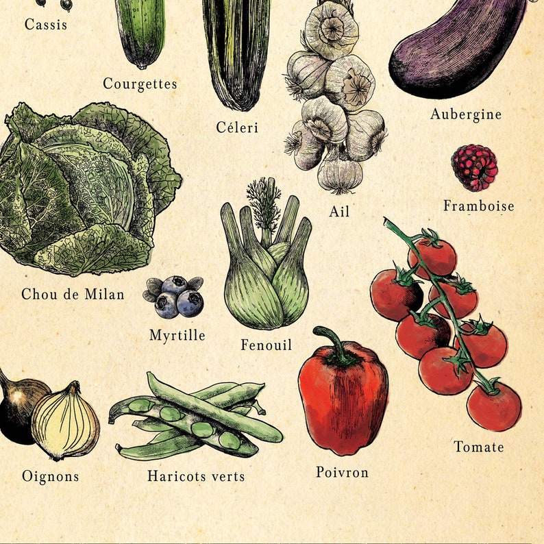 French seasonal fruit and vegetable chart. print separated into 4. Spring, summer, autumn winter titles, etchings in each of fruit and veg, set on an aged antique style background. Vintage but modern style. Each image has what it is in French under.