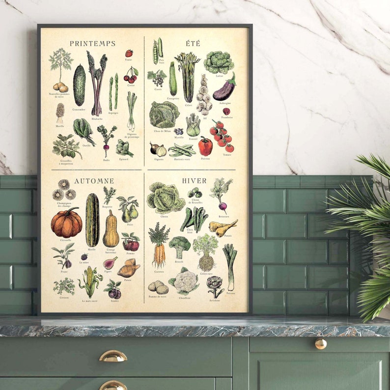 French seasonal fruit and vegetable chart. print separated into 4. Spring, summer, autumn winter titles, etchings in each of fruit and veg, set on an aged antique style background. Vintage but modern style. Each image has what it is in French under.