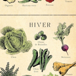 French seasonal fruit and vegetable chart. print separated into 4. Spring, summer, autumn winter titles, etchings in each of fruit and veg, set on an aged antique style background. Vintage but modern style. Each image has what it is in French under.