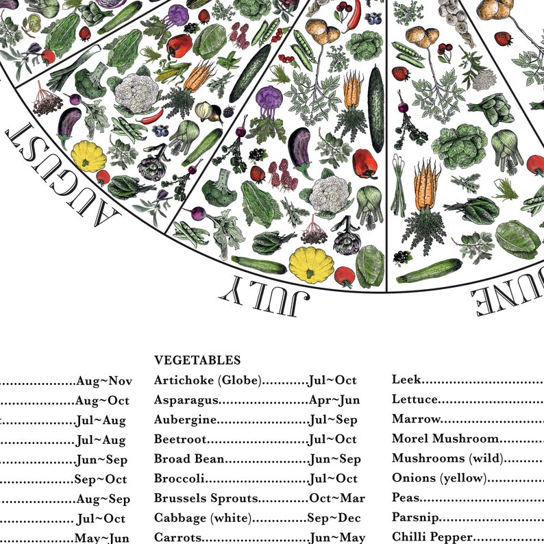 Seasonal UK Fruit & Veg Chart Monthly Vegetable Chart Etsy