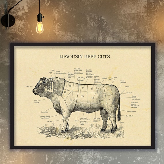 Limousin Butcher Chart Sizes Beef Cut Vintage Style Etsy
