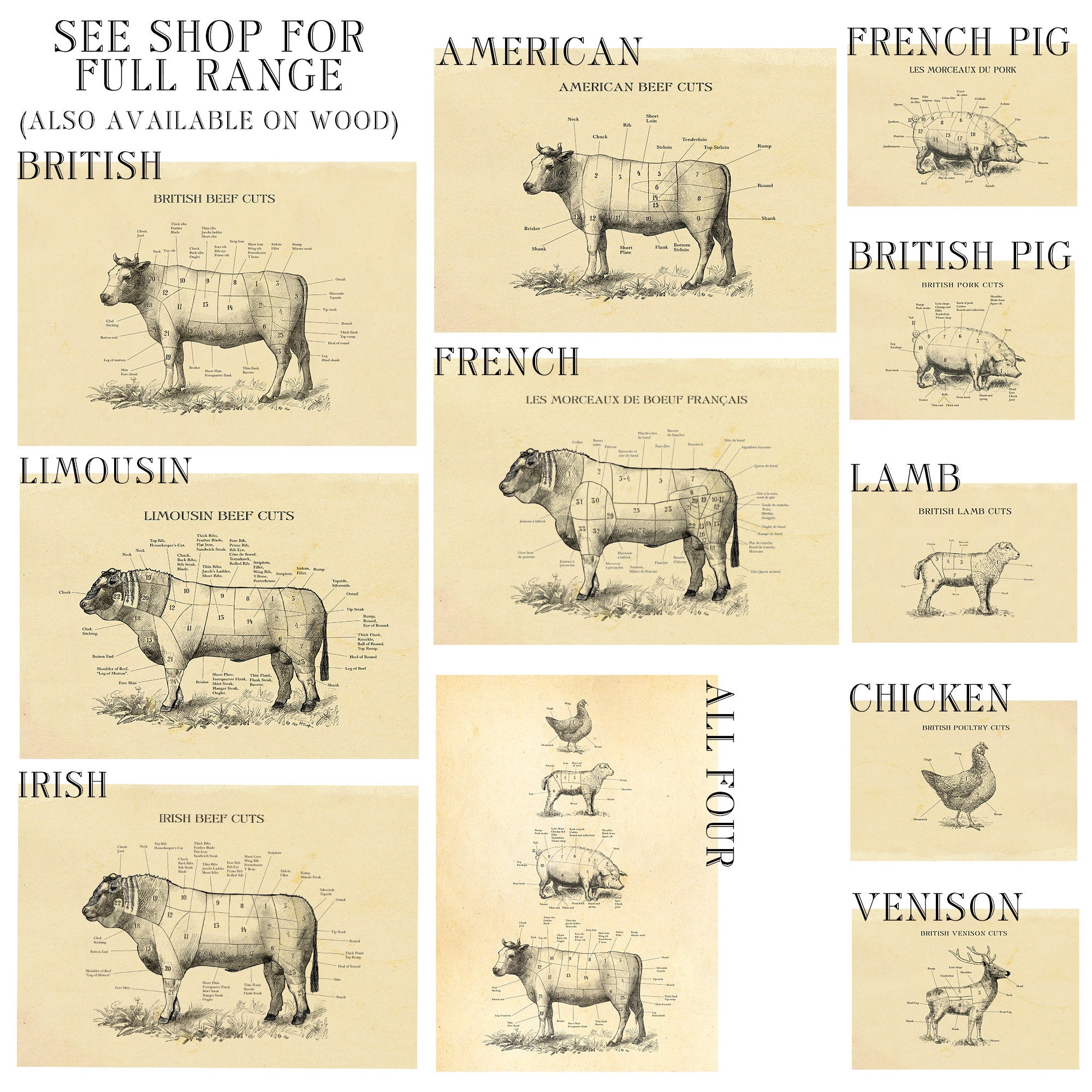 British Venison butcher chart cuts of meat etching style ...
