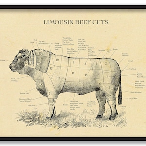 LIMOUSIN Metzgerei Karte, Beef Cut Etui, in allen Größen erhältlich