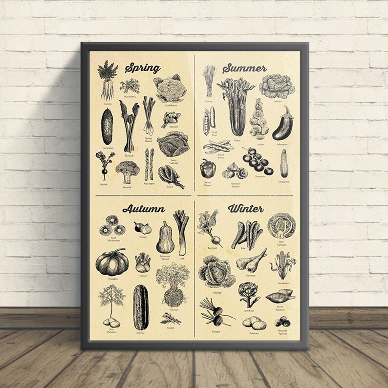 Seasonal Vegetable poster Vegetable Art Print A4 up to A2 Etsy