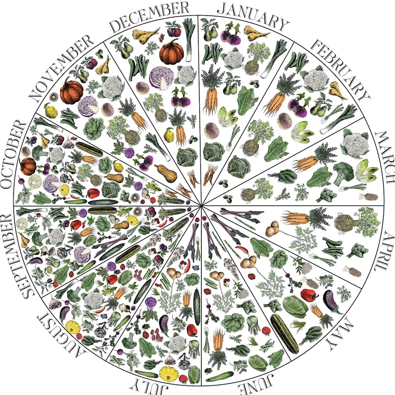 Seasonal UK Fruit & Veg Chart Monthly Vegetable Chart Etsy