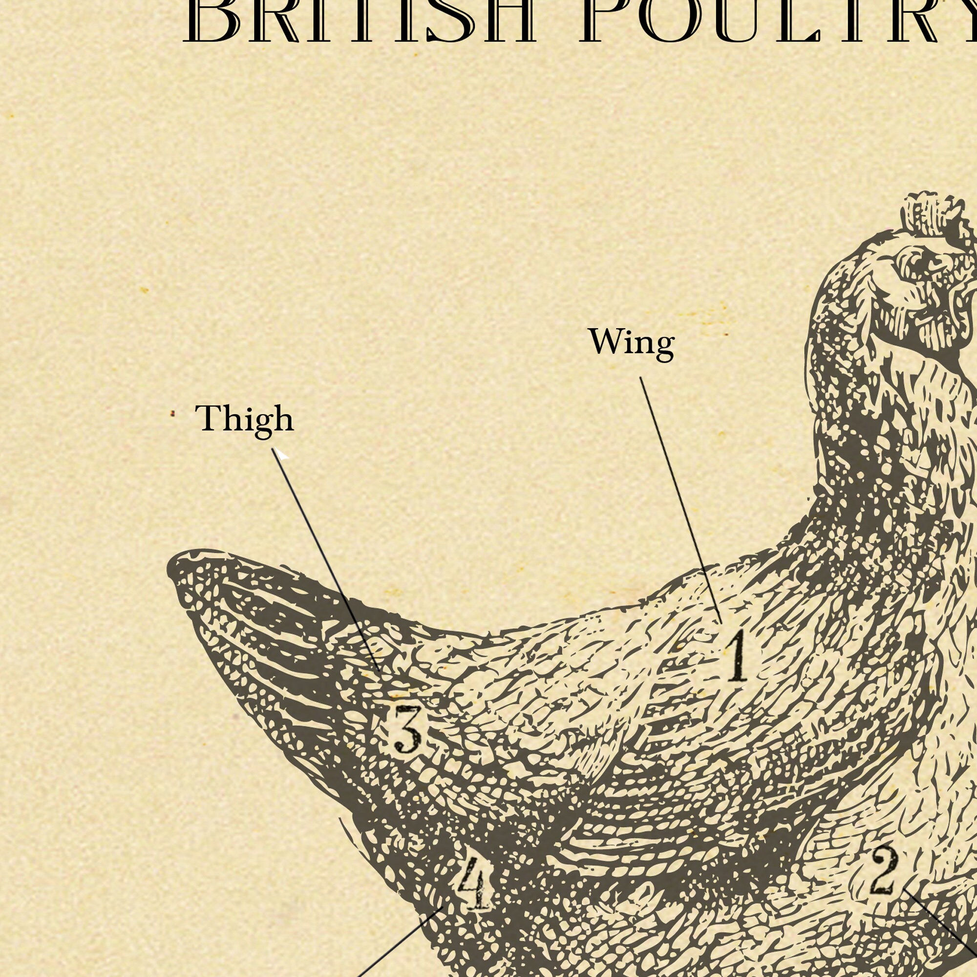 British Chicken butcher chart sizes A4 to A2 Etching Print Etsy