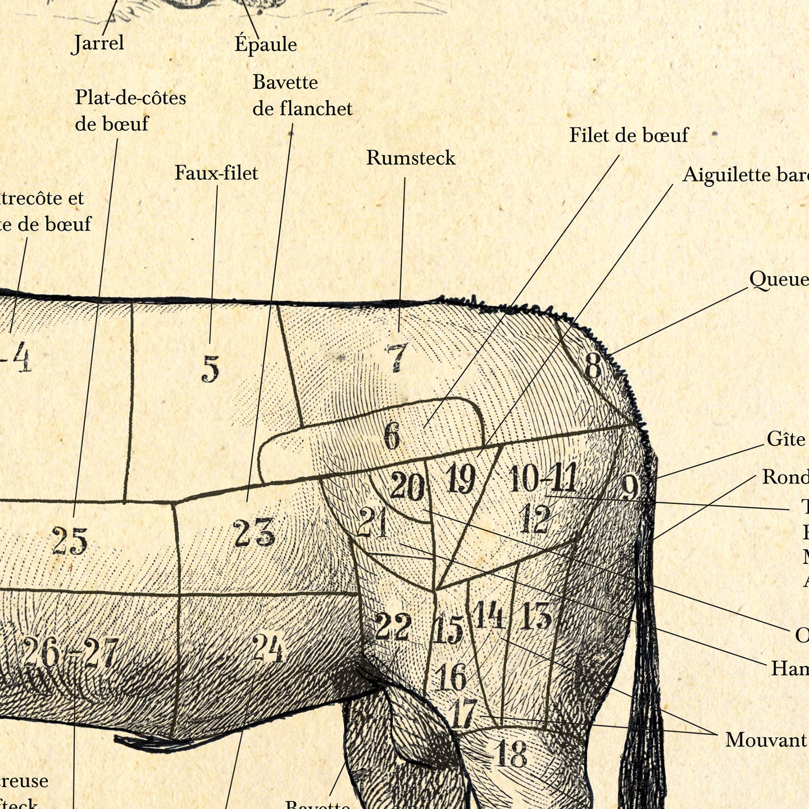 A4 French Butcher chart prints set of 4 Etching style 10 Etsy