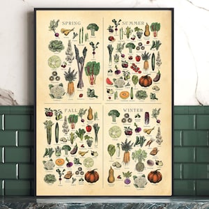 AMERICAN NE Seasonal Fruit and Veg poster, Vegetable Chart, Vintage style botanical art,