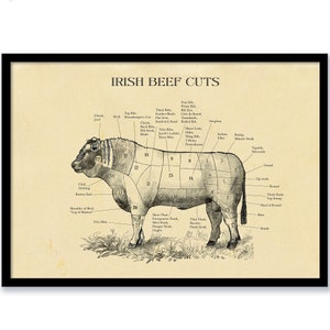 Impresión de corte de carne de res irlandesa, póster de gráfico de carnicero, impresión estilo grabado