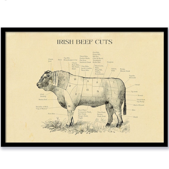 Soggettivo complemento Infedeltà beef cuts chart poster Inviare scorta