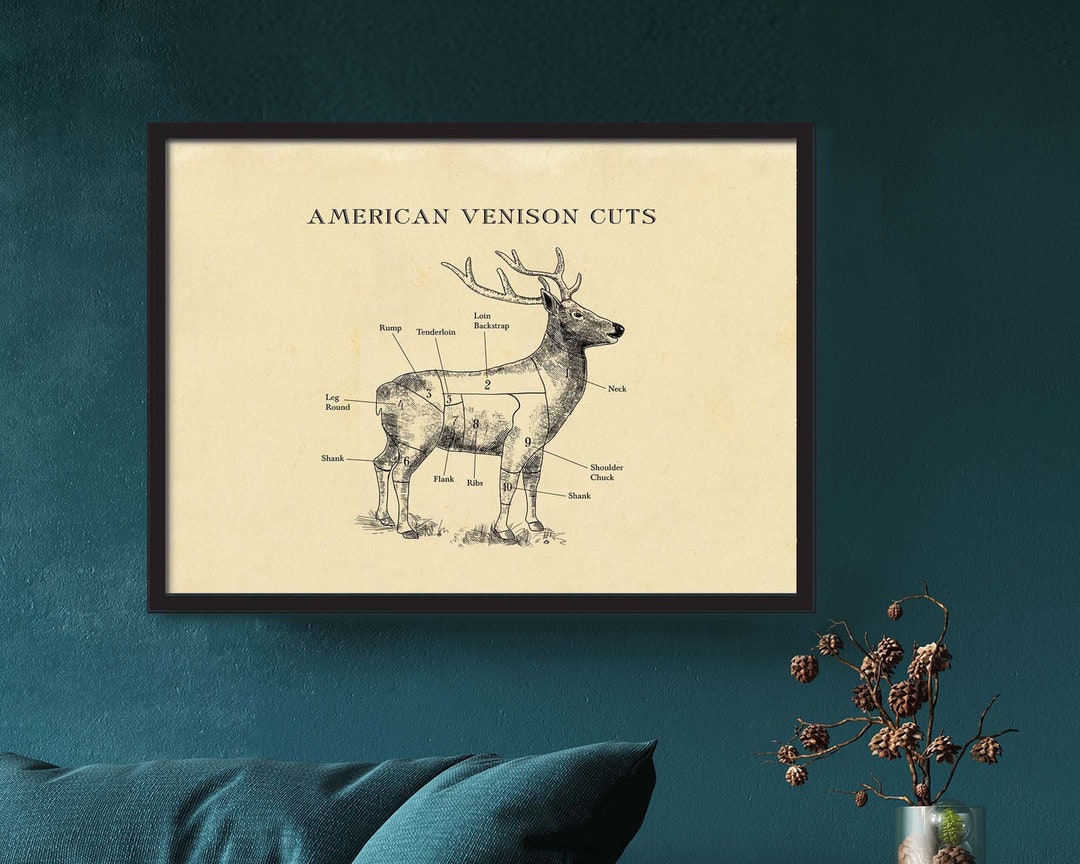AMERICAN Venison Butcher Chart, Cuts of Meat, Etching Style Print