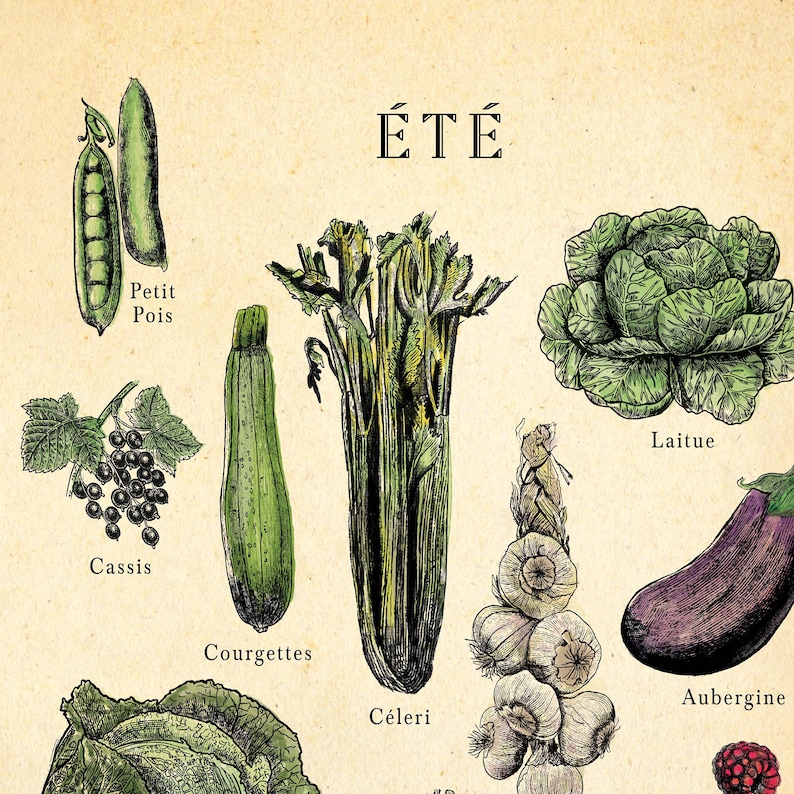 French seasonal fruit and vegetable chart. print separated into 4. Spring, summer, autumn winter titles, etchings in each of fruit and veg, set on an aged antique style background. Vintage but modern style. Each image has what it is in French under.