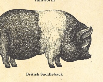 イギリス購入★木製額入り絵 PIG & SHEEP イギリス購入☆木製額入り絵 PIG & SHEEP