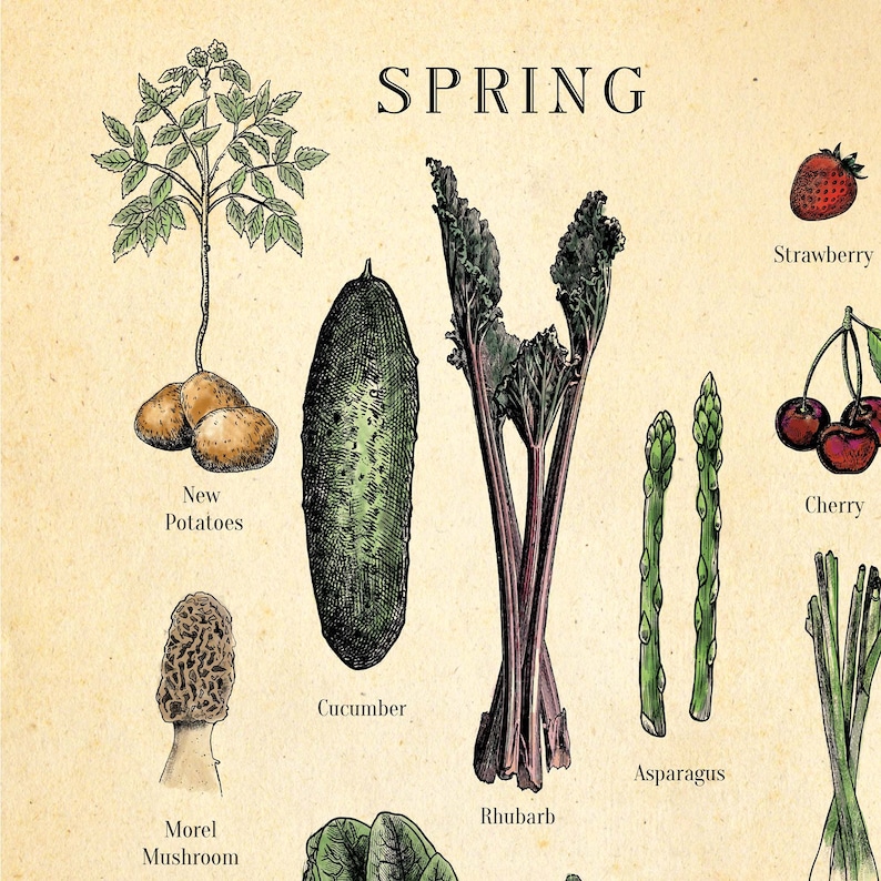 Seasonal Fruit and Veg Poster UK Version Vegetable Chart Etsy