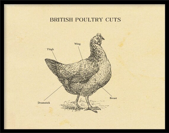 Chicken Cuts Chart