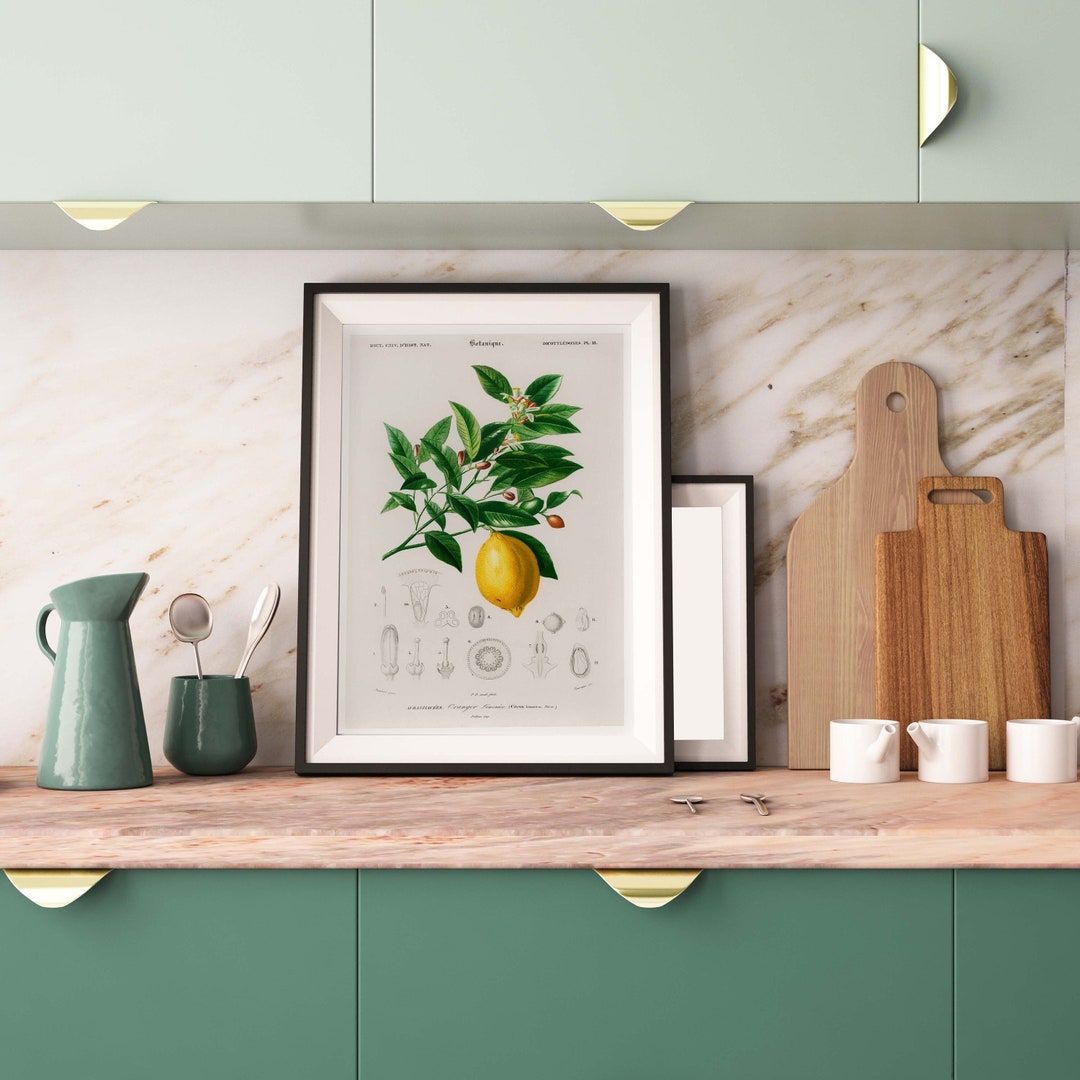Vintage Lemon Poster, Citrus Home Decor, Antique Botanical, Vintage