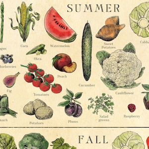 AMERICAN SOUTH Seasonal Fruit and Veg Poster, Vegetable Chart ...