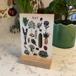 Calendrier de bureau Fruits et légumes de saison, bloc en bois de chêne optionnel, lot de 6 calendriers recto-verso, A6 - non daté.