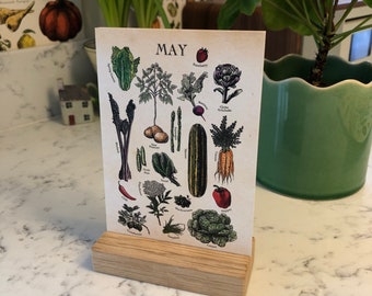 May include: A vintage-style illustrated card with the word "MAY" in large letters at the top. The card features a variety of vegetables and fruits, including asparagus, carrots, cucumbers, peppers, and strawberries. The card is displayed on a wooden stand.