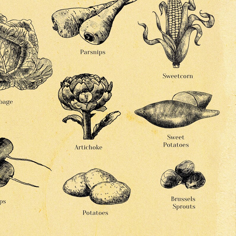Seasonal Vegetable poster Vegetable Art Print A4 up to A2 Etsy