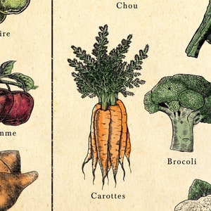 French seasonal fruit and vegetable chart. print separated into 4. Spring, summer, autumn winter titles, etchings in each of fruit and veg, set on an aged antique style background. Vintage but modern style. Each image has what it is in French under.