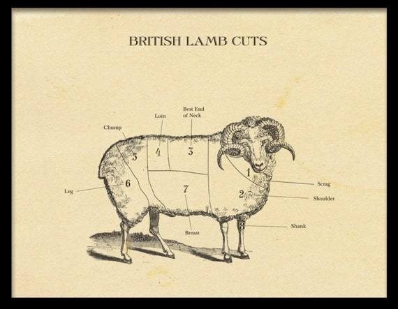 Lamb Meat Chart