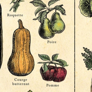 French seasonal fruit and vegetable chart. print separated into 4. Spring, summer, autumn winter titles, etchings in each of fruit and veg, set on an aged antique style background. Vintage but modern style. Each image has what it is in French under.