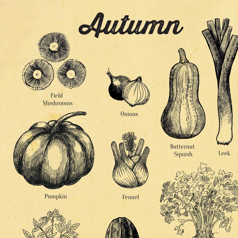 Seasonal Vegetable poster Vegetable Art Print A4 up to A2 Etsy
