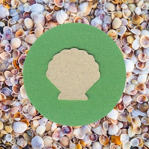 May include: A light beige seashell shape on a green circle, set against a backdrop of various seashells. The seashells are in shades of white, beige, brown, and purple. The image evokes a beach or coastal theme.