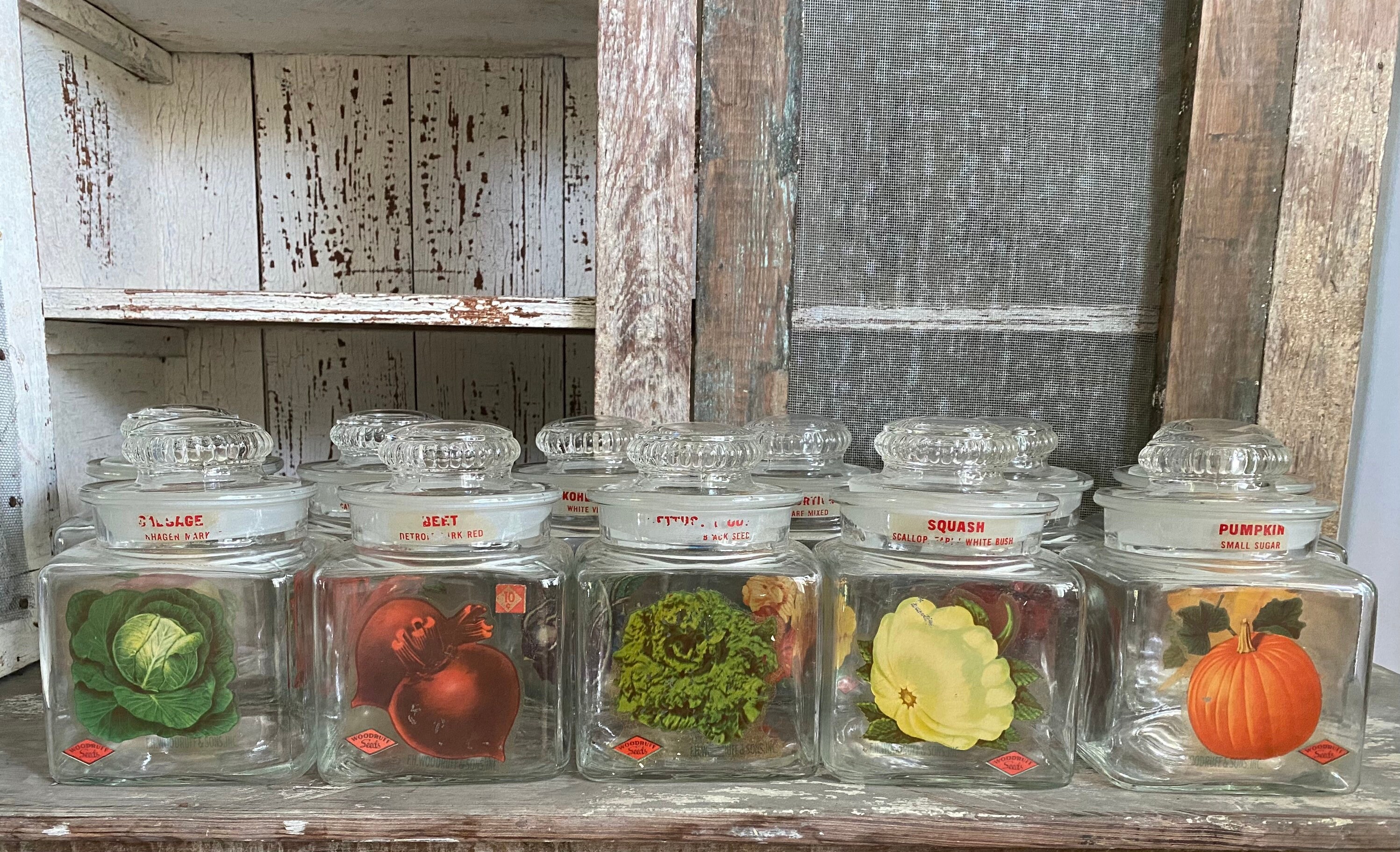 Vintage 6.25x 4.25 Glass Seed Jars Please select Seed Etsy