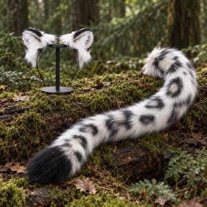 May include: A set consisting of a headband with two faux fur animal ears and a long, matching faux fur animal tail. Both the ears and the tail feature a white base with black spots and a solid black tip on the tail, crafted from plush material.