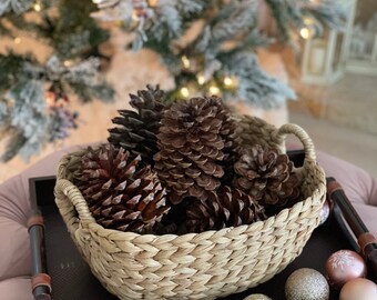 Cinnamon Scented Pine Cones - Simple Joy