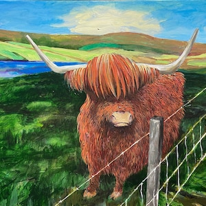 Hamish the Heilan Coo