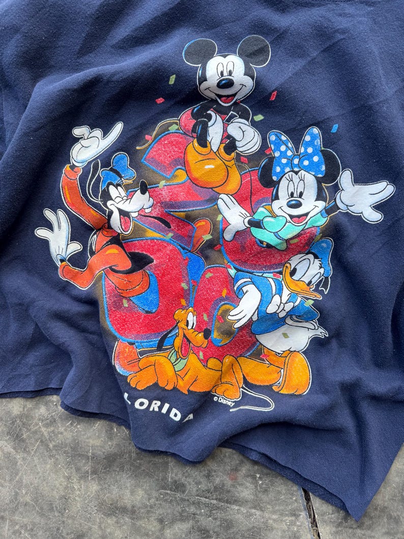 Puede incluir: Una camiseta azul marino con un gr&aacute;fico colorido de Mickey Mouse, Minnie Mouse, Goofy, Pluto y Donald Duck. El gr&aacute;fico incluye la palabra "Florida" y el s&iacute;mbolo de copyright de Disney.