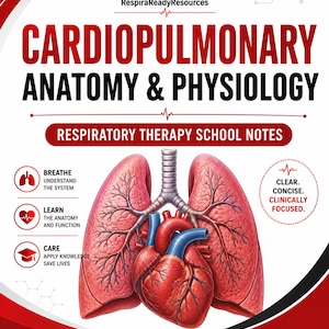 May include: An educational poster titled Cardiopulmonary Anatomy & Physiology Respiratory Therapy School Notes. It features a detailed anatomical illustration of human lungs and a heart, with text including Breathe, Learn, Care, and Clear. Concise. Clinically Focused.